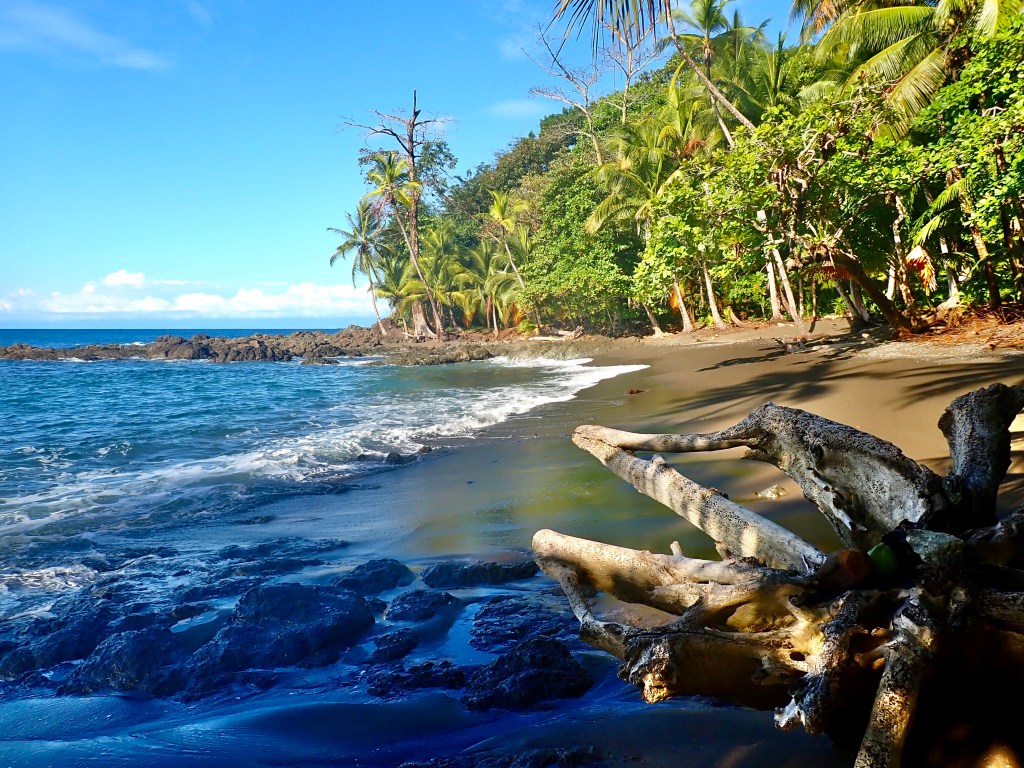 Costa Rica 2020, Day&nbsp;5