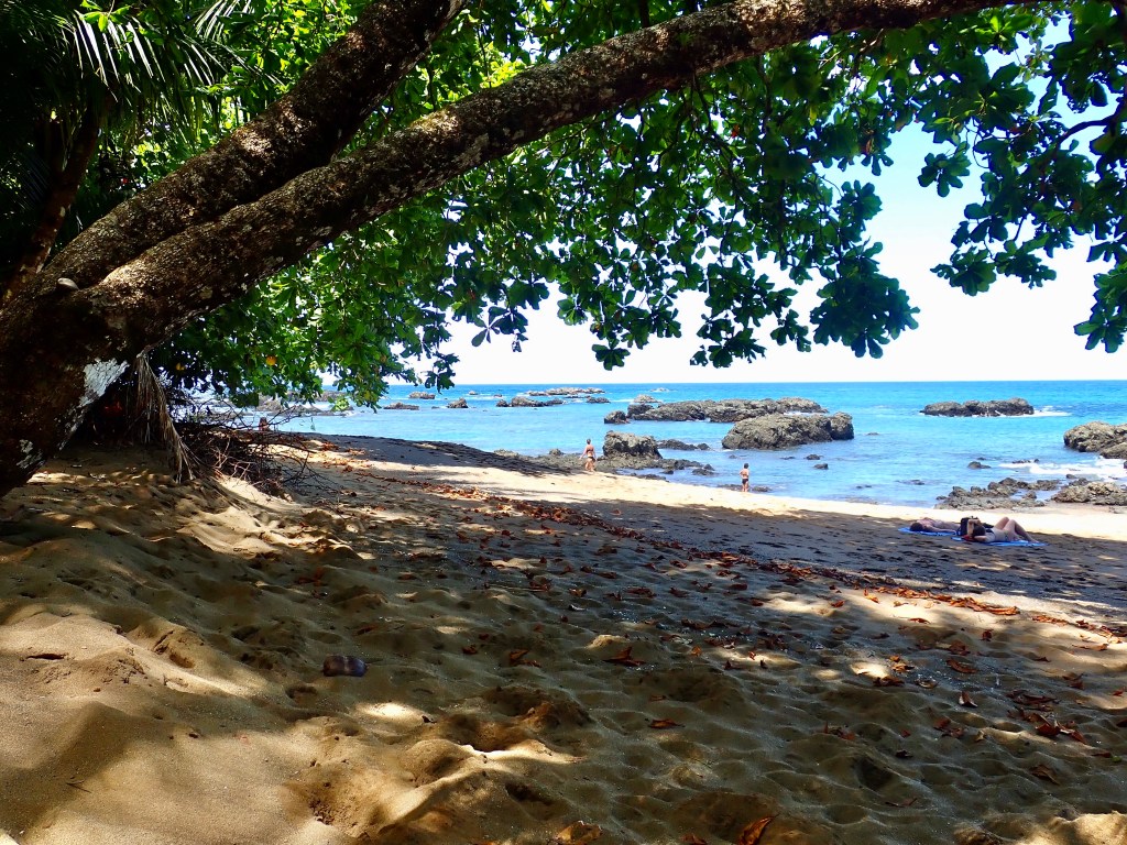 Costa Rica 2020, Day&nbsp;7