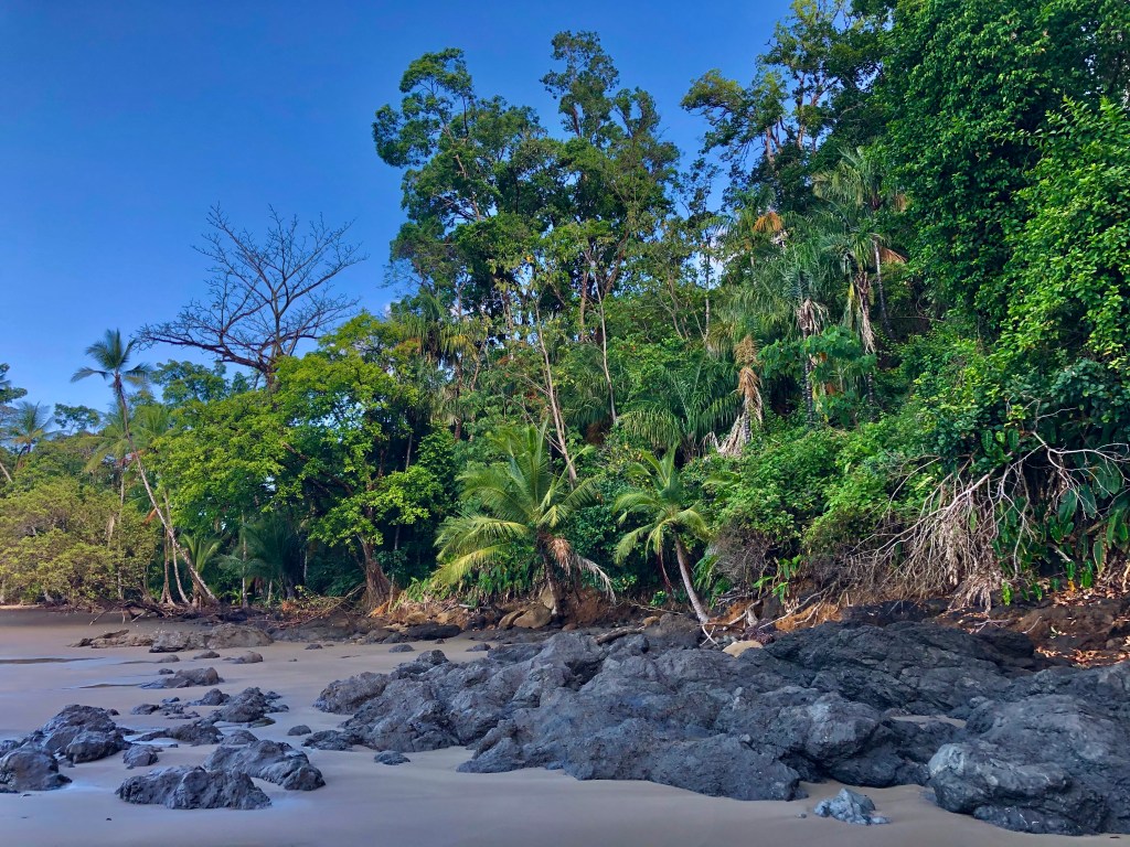 Costa Rica 2020, Day&nbsp;8