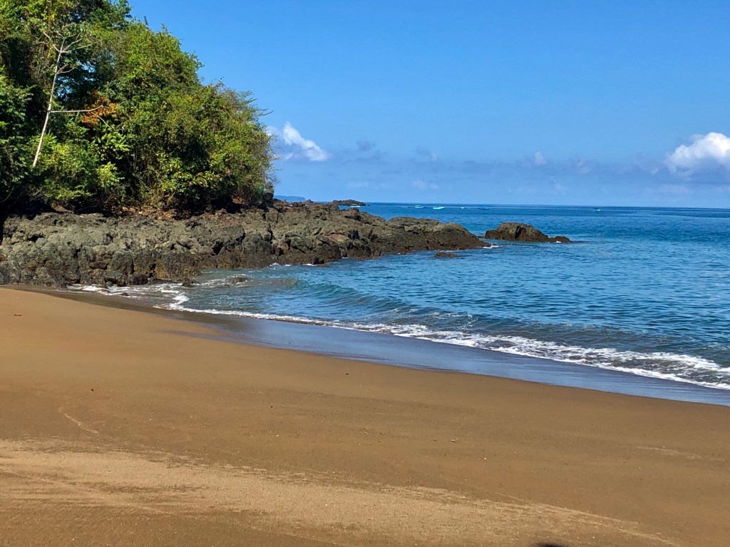 Costa Rica 2020, Day&nbsp;10