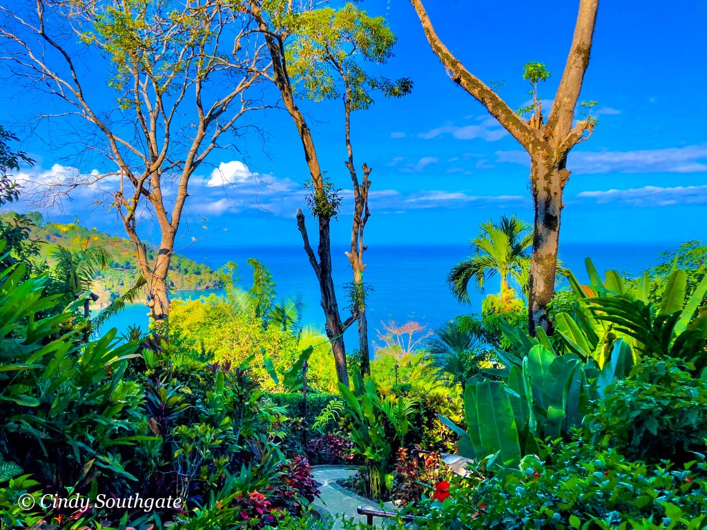 Costa Rica 2020, Day&nbsp;13