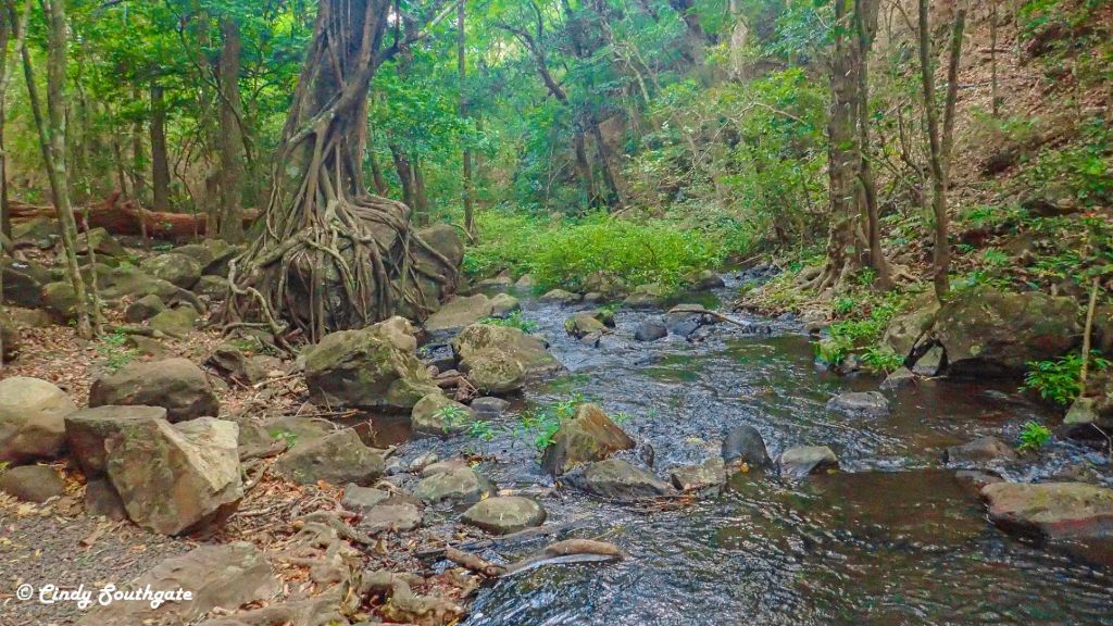 Costa Rica 2022, Day&nbsp;3