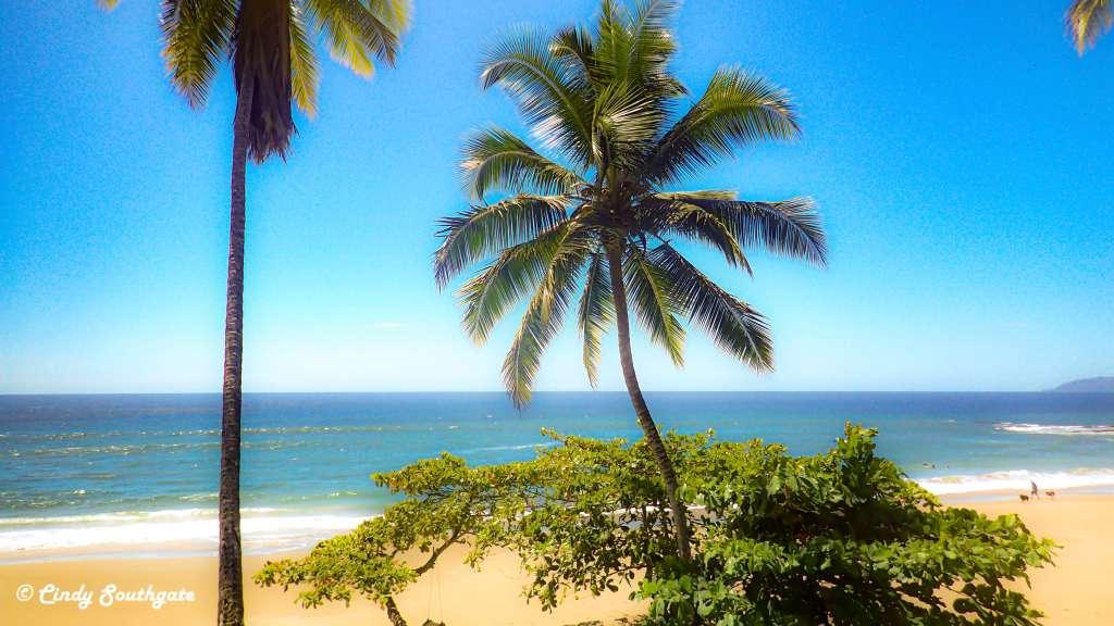 Costa Rica 2022, Day 5