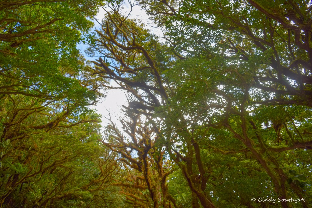 Costa Rica 2022, Day&nbsp;11