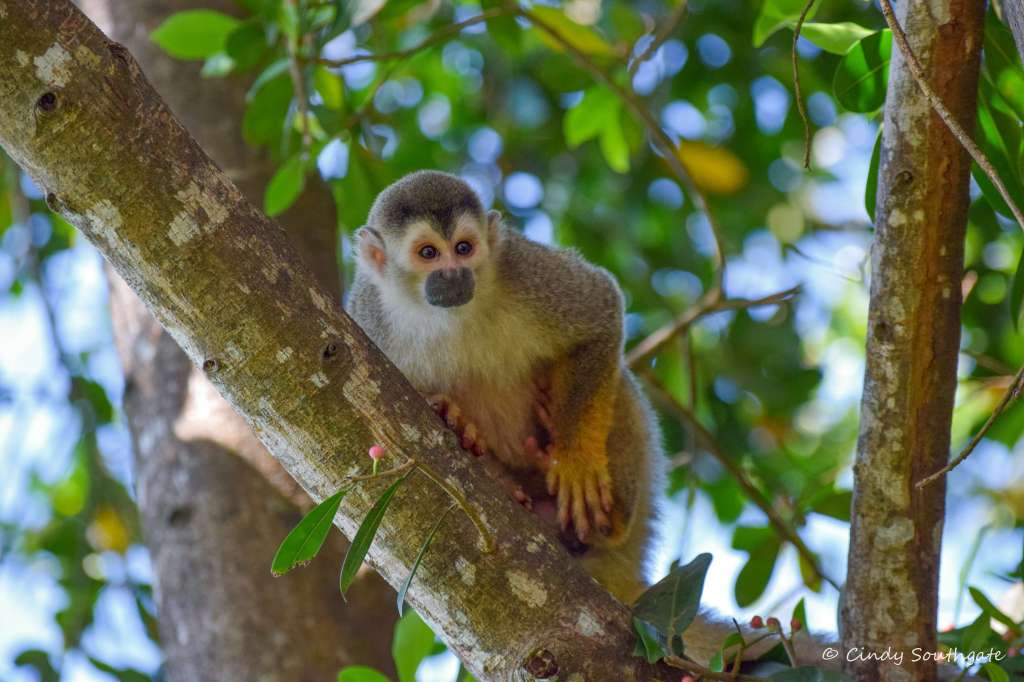 Costa Rica 2022, Day&nbsp;14