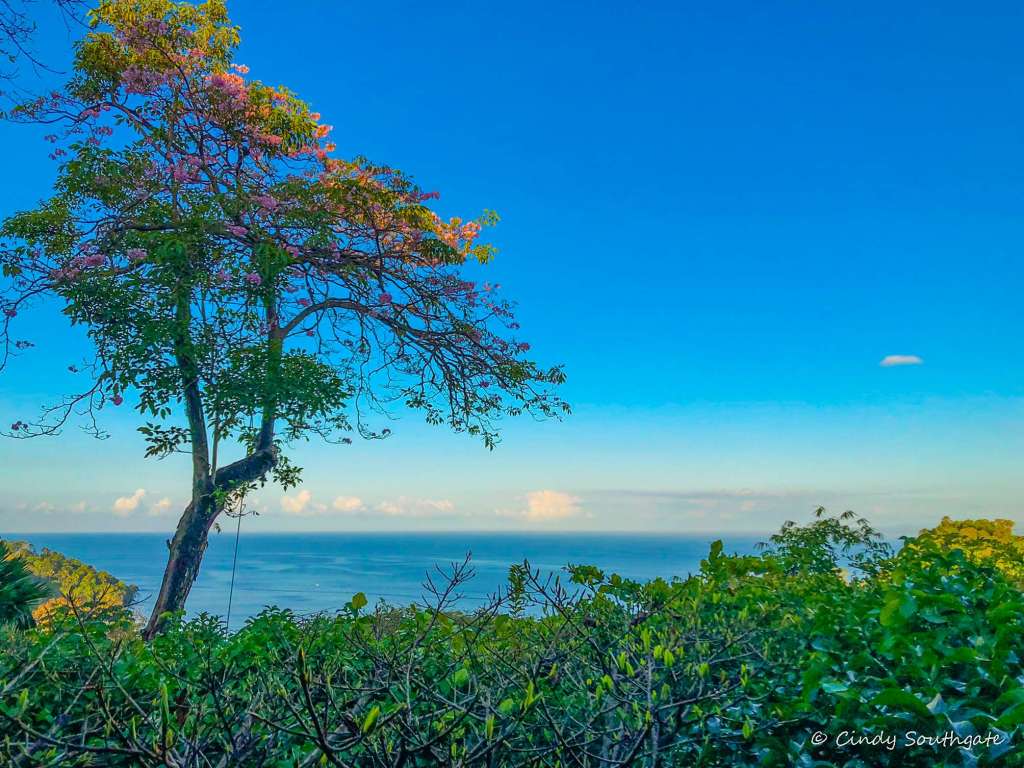 Costa Rica 2022, Day&nbsp;13