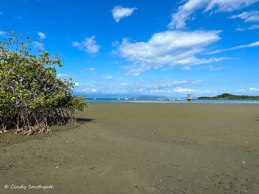 Costa Rica 2023, Day 1 and&nbsp;2