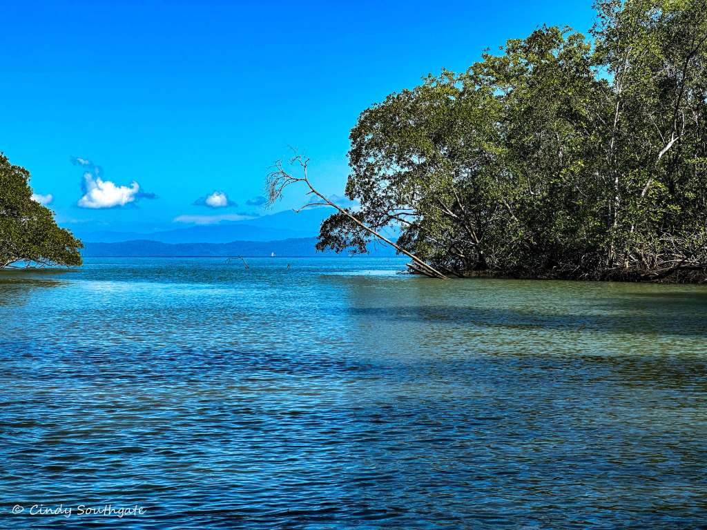 Costa Rica 2023, Day&nbsp;3