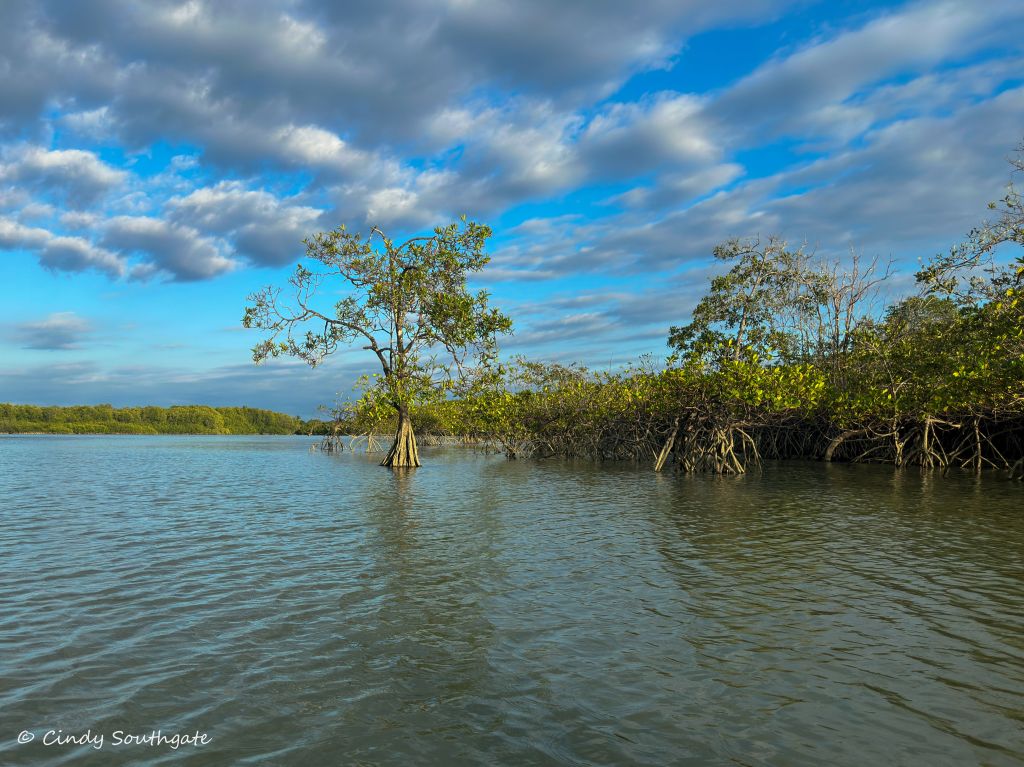 Costa Rica 2023, Day&nbsp;4