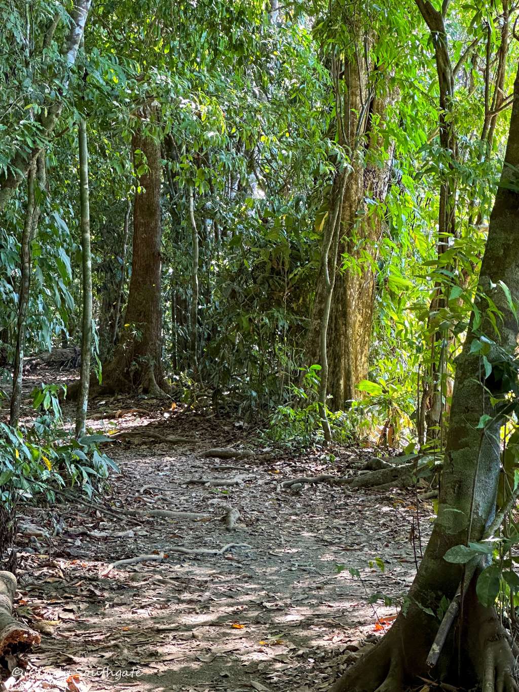 Costa Rica 2023, Day&nbsp;6