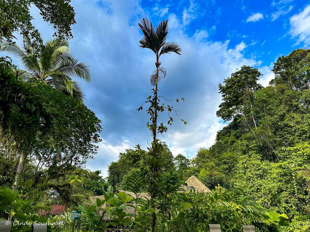 Costa Rica 2023, Day&nbsp;8