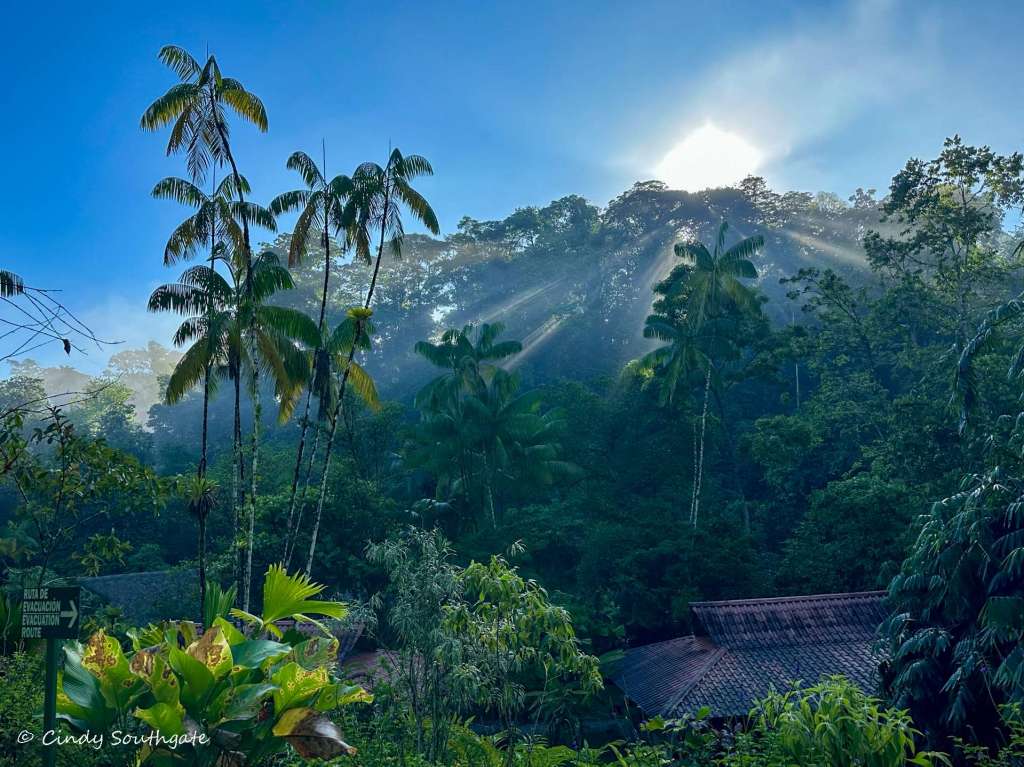 Costa Rica 2023, Day&nbsp;9