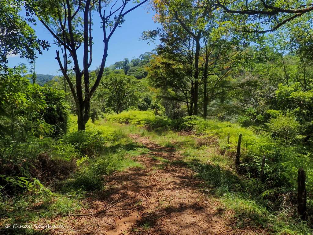 Costa Rica 2023, Day&nbsp;10