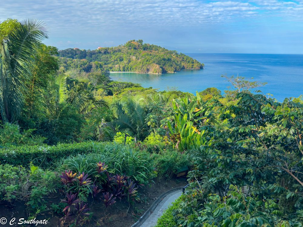 Costa Rica 2023, Day&nbsp;15