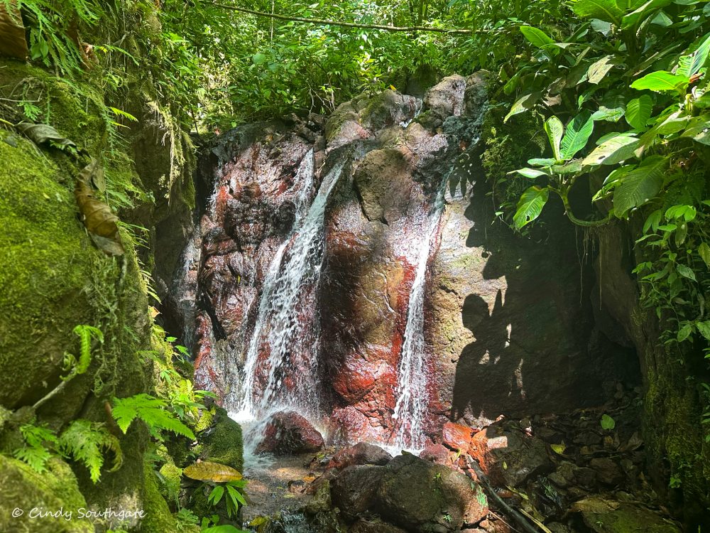 Costa Rica 2023, Day&nbsp;17