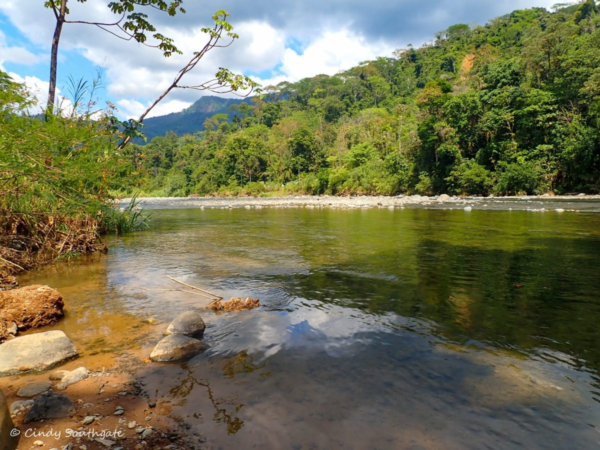 Costa Rica 2023, Day&nbsp;16
